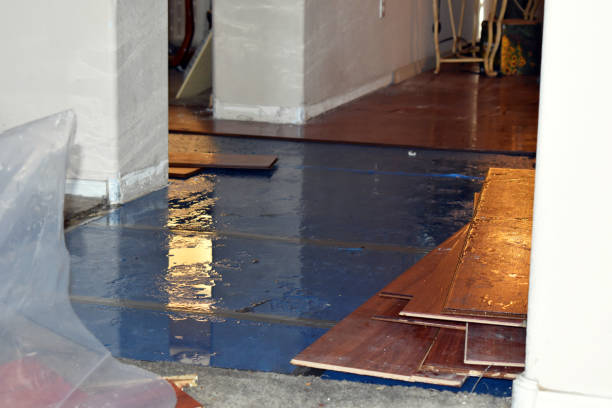 Professional Emergency Water Damage Restoration technician working in Temple Bar Marina, AZ